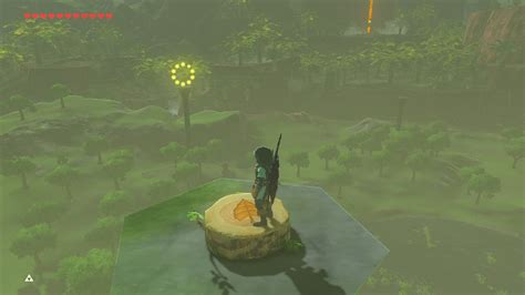 lake tower korok tree stump